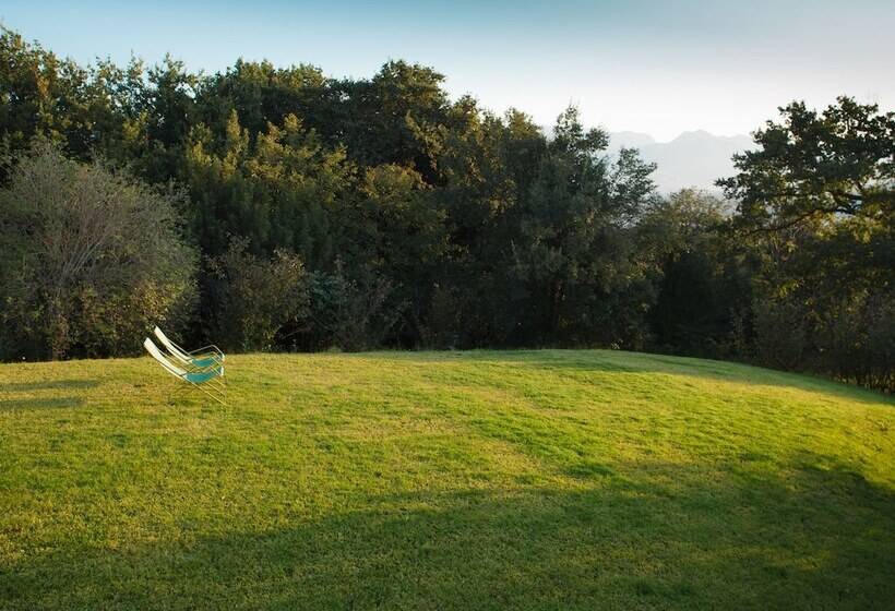 酒店 Agriturismo La Vecchia Quercia