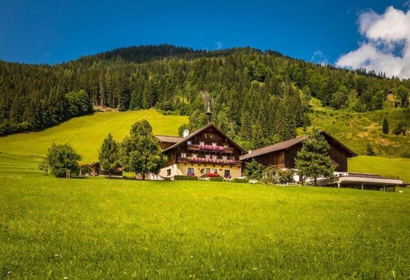 בית מלון כפרי Prechtlhof In Flachau