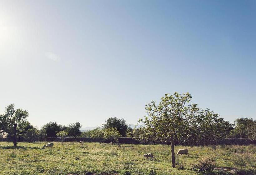 호텔 S Hort Can Capità