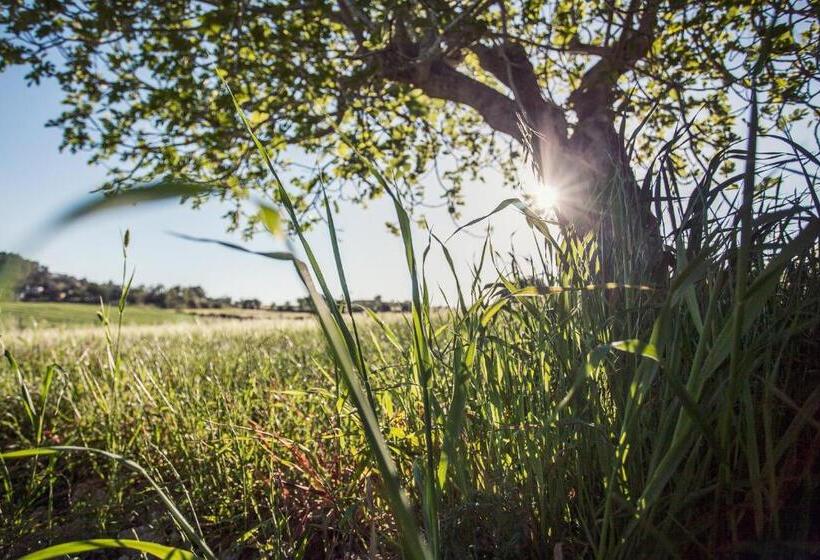 호텔 S Hort Can Capità