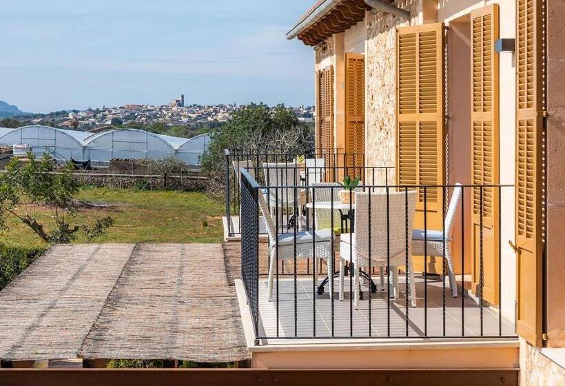 호텔 S Hort Can Capità