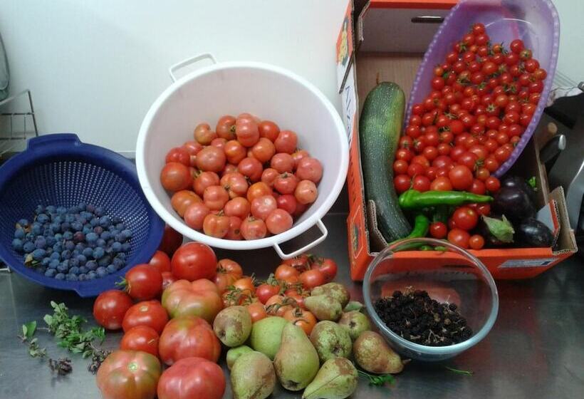 פנסיון B&b Masia Rovira