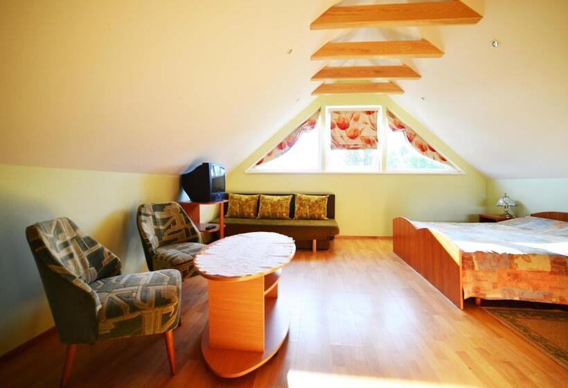 پانسیون Birutes Apartments