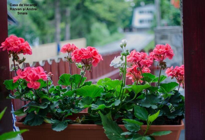 بنسيون Casa De Vacanta Razvan Si Andrei