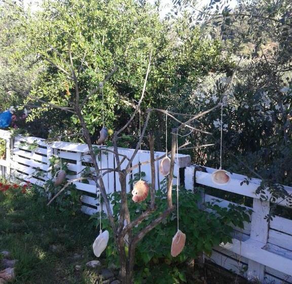 ペンション Cerro Da Janela Hostel