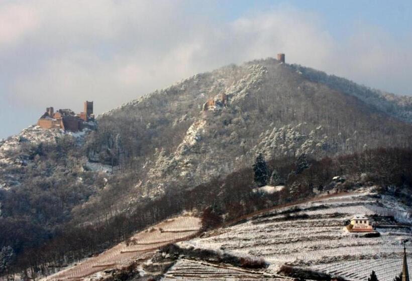 פנסיון Domaine Jean Sipp