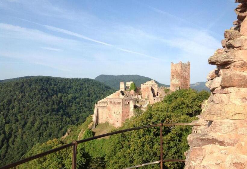 بنسيون Domaine Jean Sipp