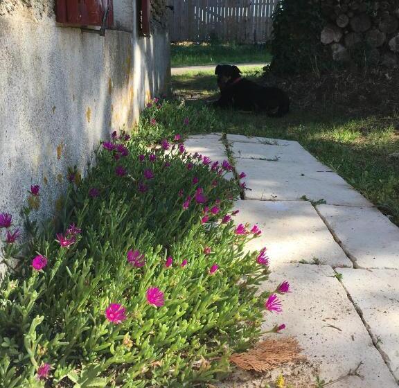 Пансион Gite Le Puy Rabasteau