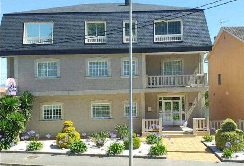 膳宿费 Habitaciones Ninfa