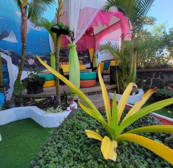 پانسیون Hostal Gosén