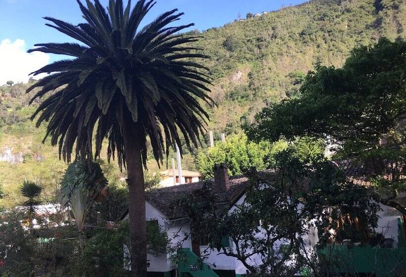 پانسیون La Petite Auberge   Hostel