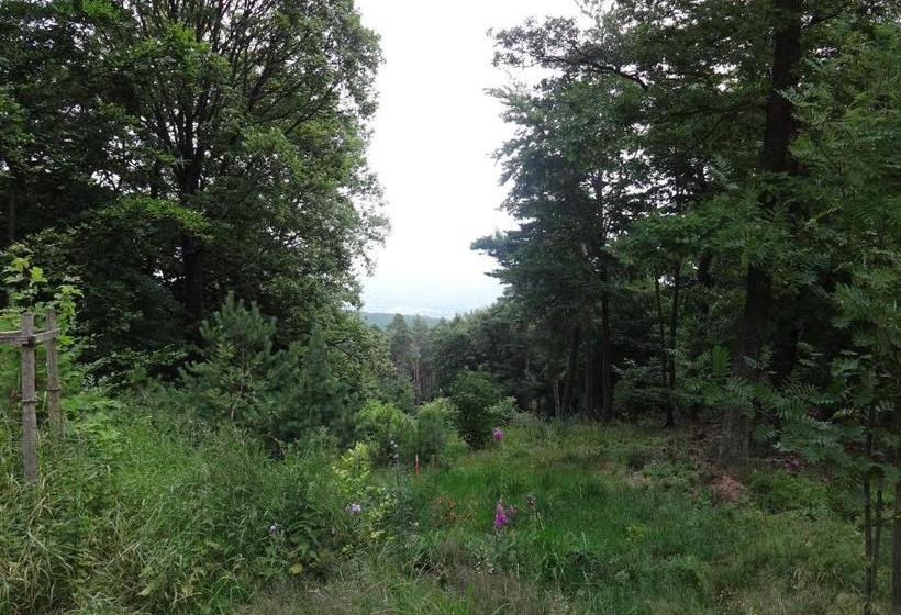 펜션 Landgasthof Jägerstübchen