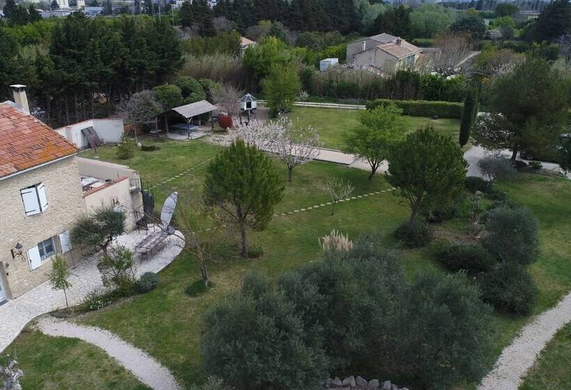 膳宿费 Mas Seraphin