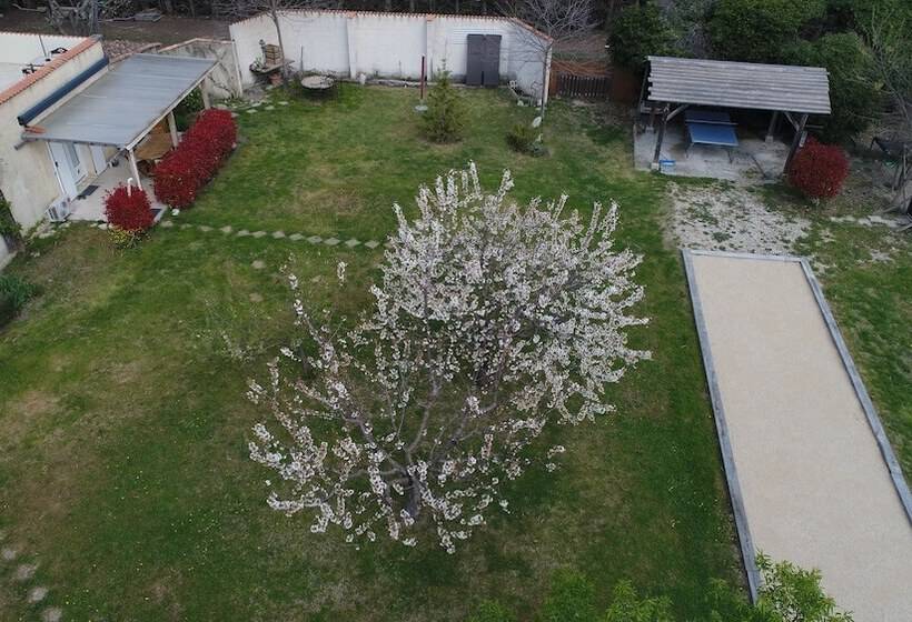 膳宿费 Mas Seraphin