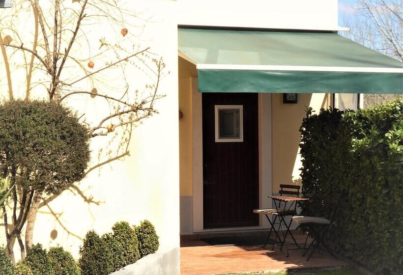 펜션 Vila Dos Castanheiros