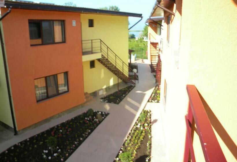 膳宿费 Vilele Soarelui