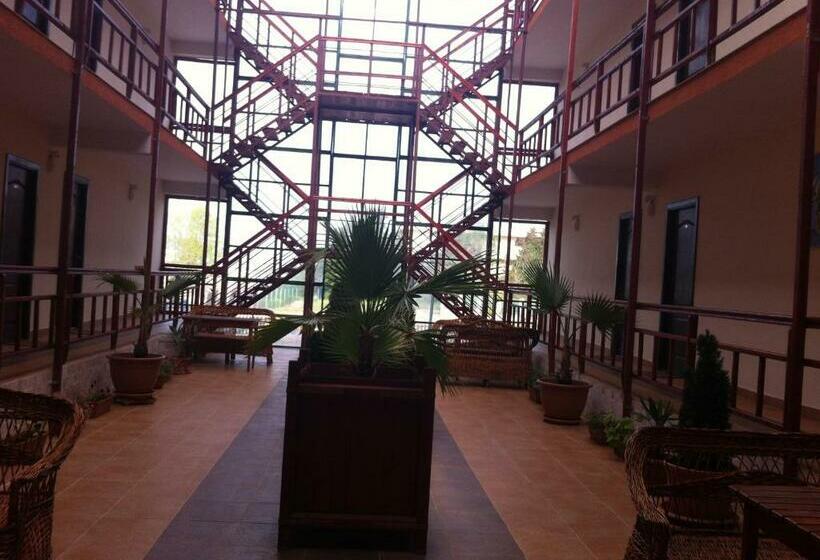 膳宿费 Vilele Soarelui