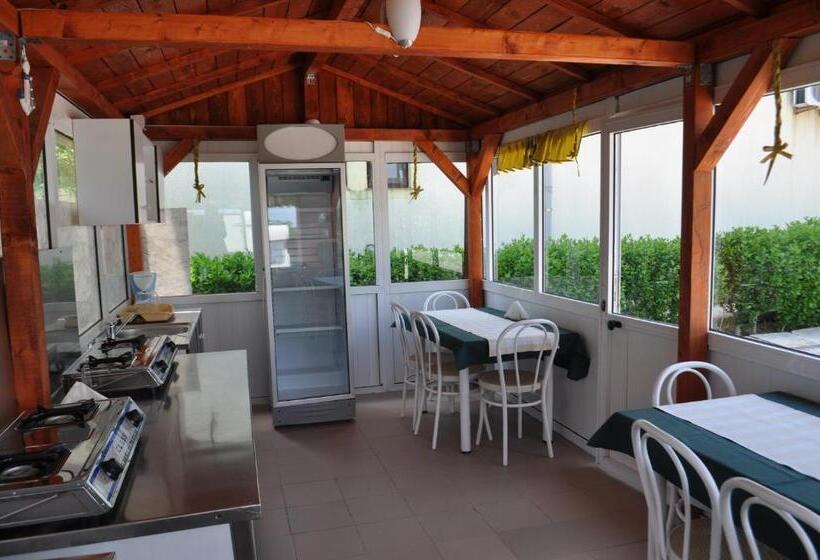 膳宿费 Vilele Soarelui