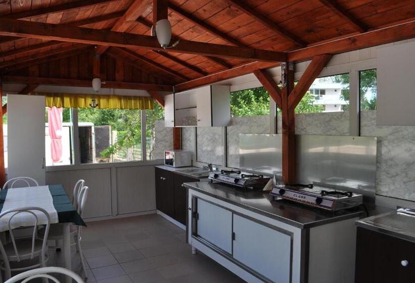 膳宿费 Vilele Soarelui