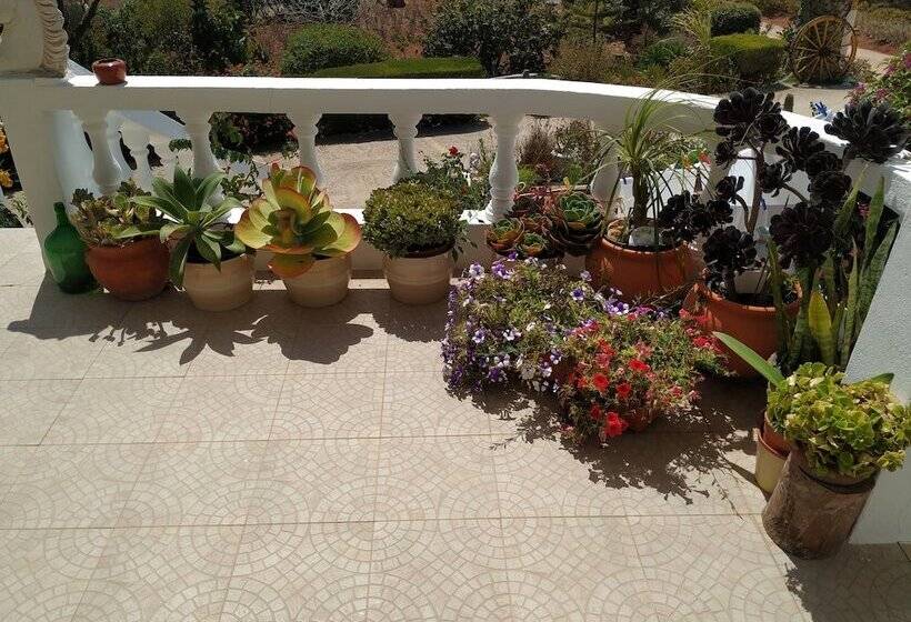 Пансион Vivenda Familia Pedro