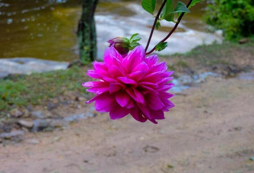 ユースホステル Hosteria Sans Souci