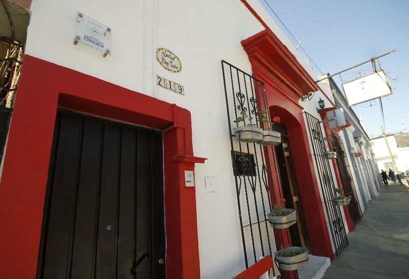 هاستل Posada Don Mario