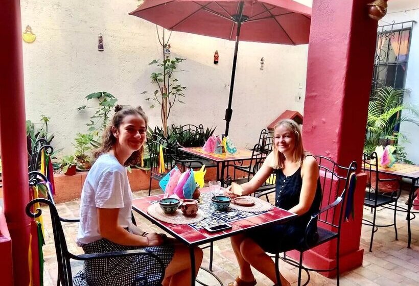 هاستل Posada Don Mario