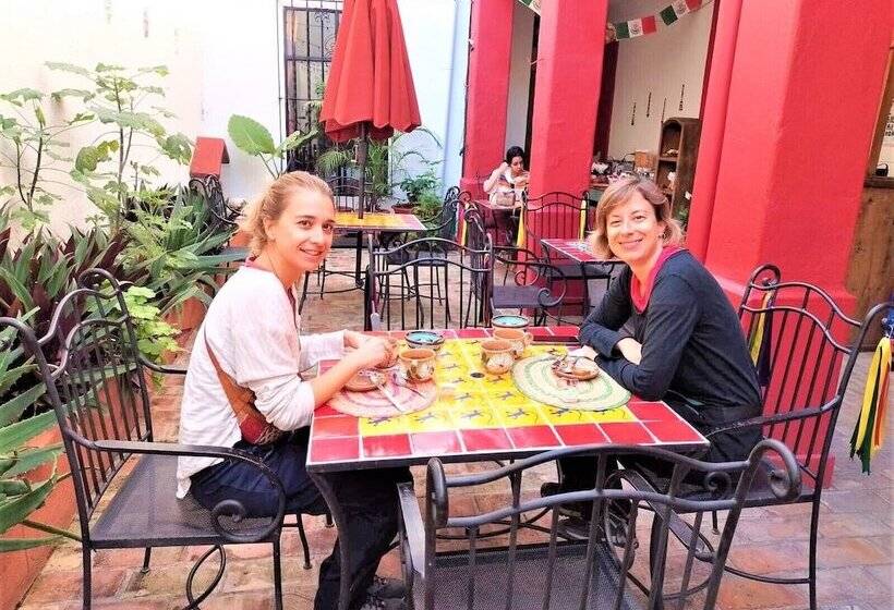 هاستل Posada Don Mario