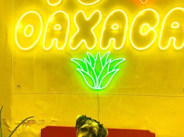 هاستل Posada Don Mario