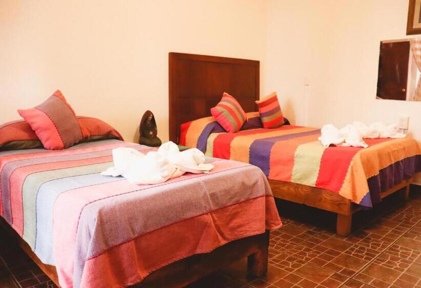 هاستل Posada Don Mario