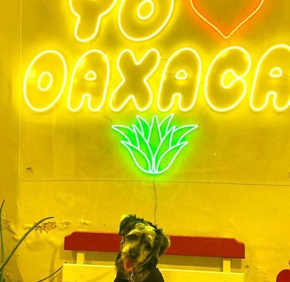 هاستل Posada Don Mario