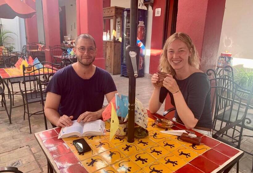 هاستل Posada Don Mario