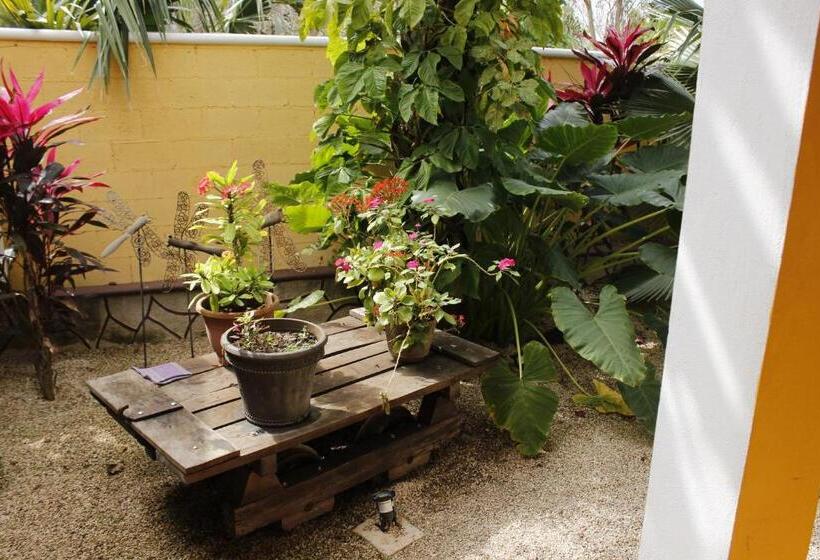 فندق صغير Posada Ya´ax Ich