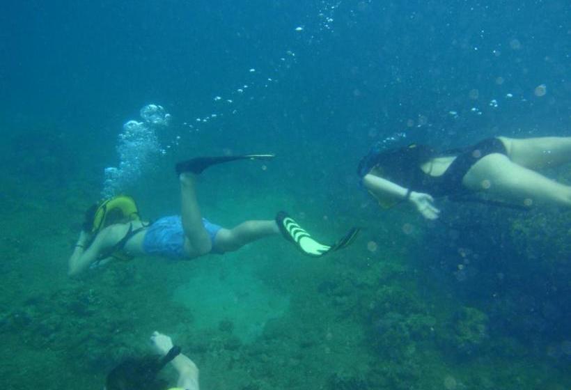 旅馆 Scubaportobelo