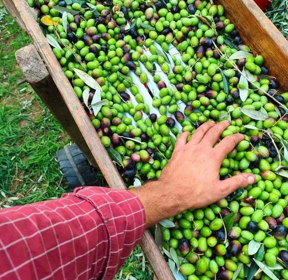 酒店 Agriturismo Colle Vento