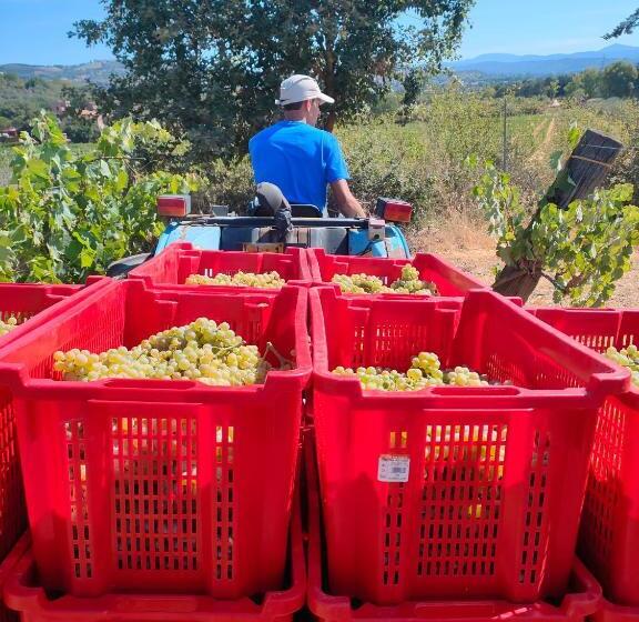 酒店 Agriturismo Colle Vento