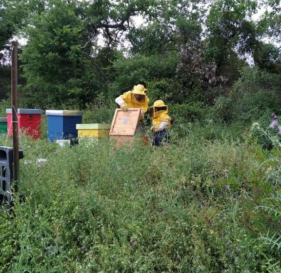 酒店 Agriturismo Colle Vento