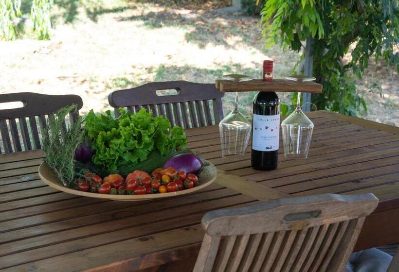 酒店 Agriturismo Colle Vento