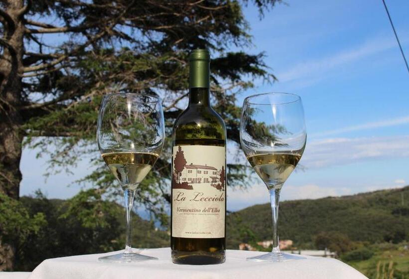 ホテル Agriturismo La Lecciola