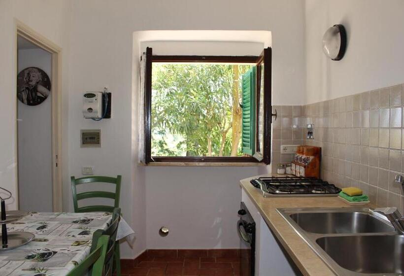 ホテル Agriturismo La Lecciola