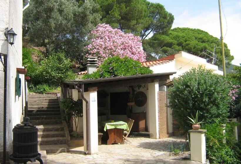 ホテル Agriturismo La Lecciola