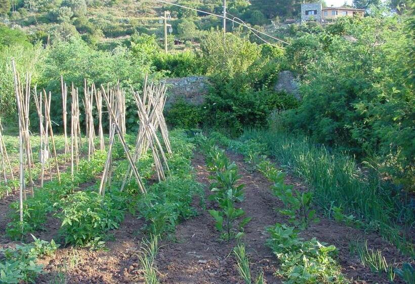 ホテル Agriturismo La Lecciola