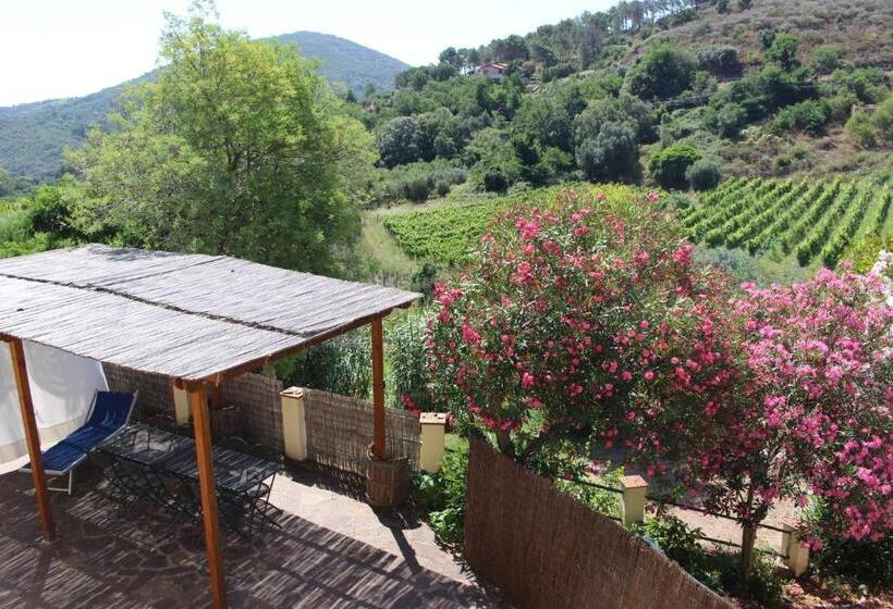 ホテル Agriturismo La Lecciola