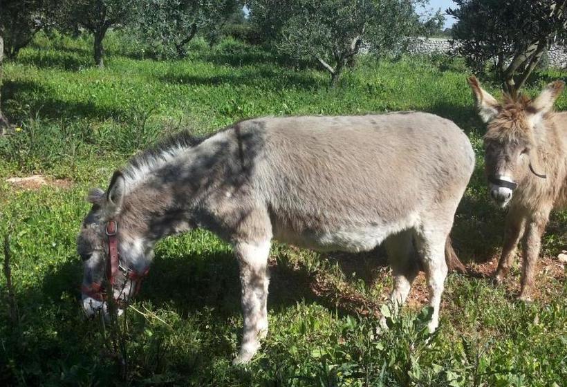בית מלון כפרי Agriturismo Specchiarussa