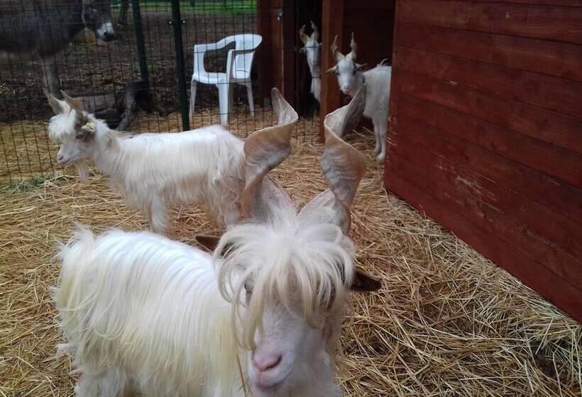 בית מלון כפרי Agriturismo Specchiarussa