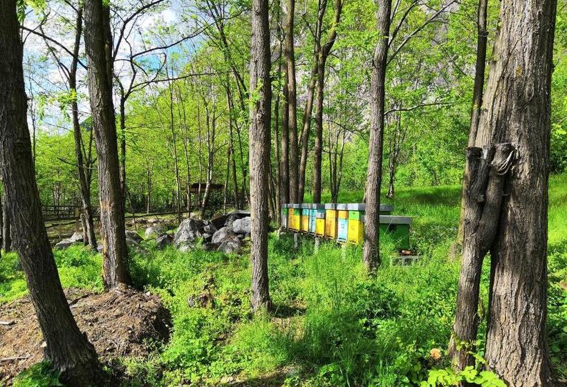 בית מלון כפרי Agriturismo Val Codera