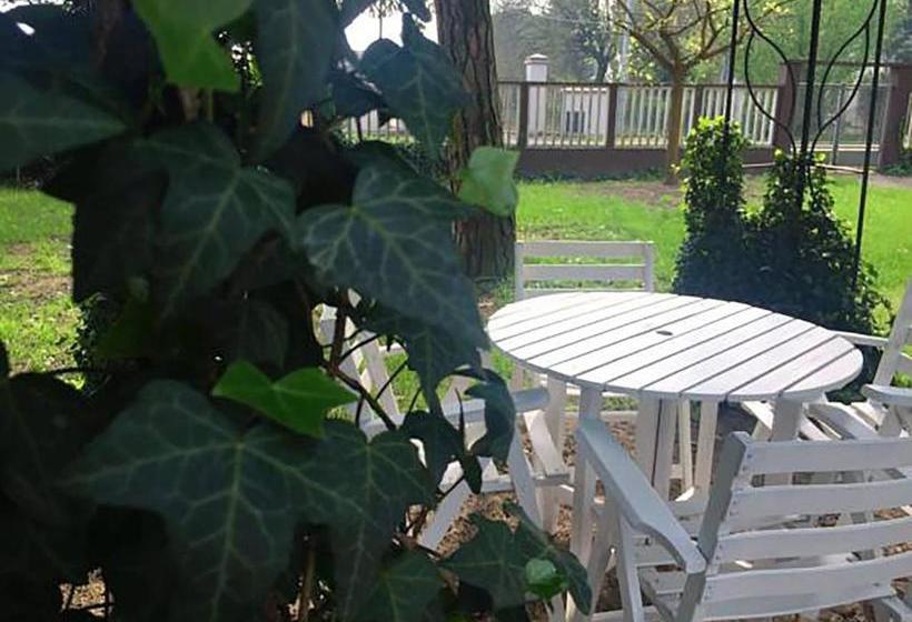 בית מלון כפרי Agriturismo Villa Dei Gelsi