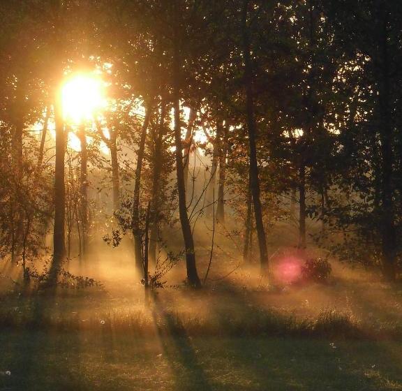 בית מלון כפרי Settecentoalberi Agriturismo