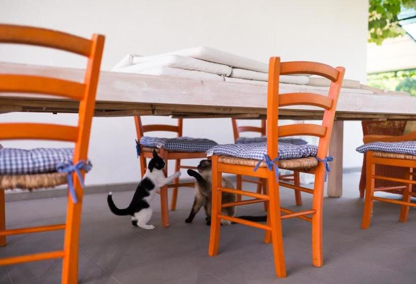 בית מלון כפרי Settecentoalberi Agriturismo