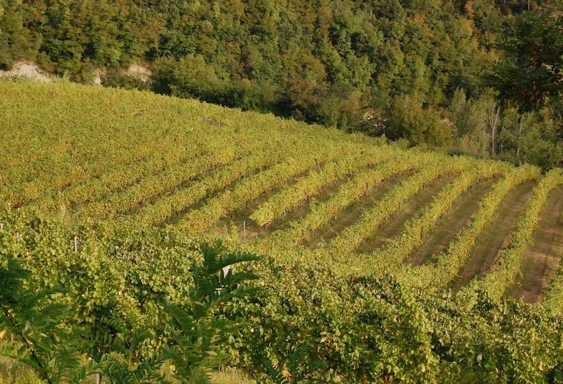 فندق Villa Podere Quartarola